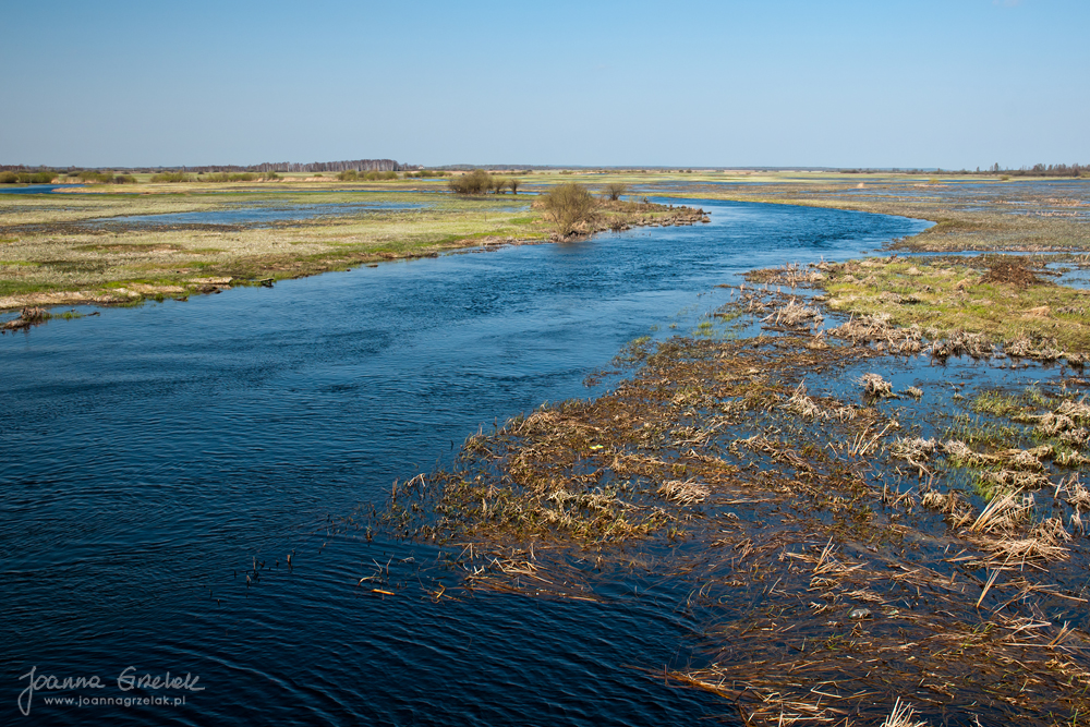 027_Biebrza - kwiecien 2010.jpg